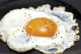 Egg